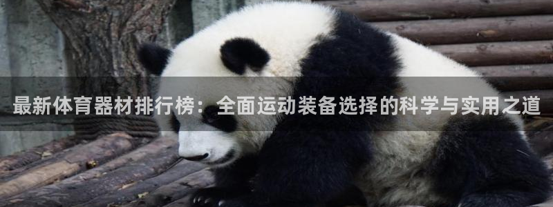 耀世集团视频介绍下载:最新体育器材排行榜:全面运动装备选择的